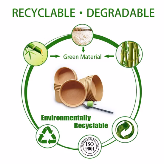 Insalatiera per zuppa di carta Kraft resistente all'olio ecologica all'ingrosso